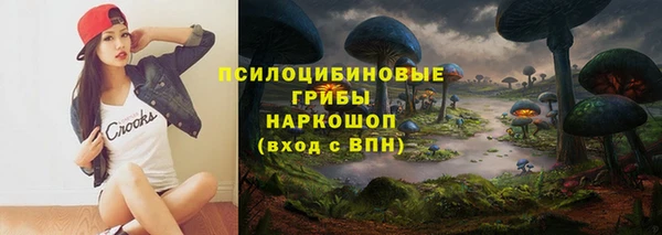 прущие грибы Богданович