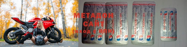 прущие грибы Богданович