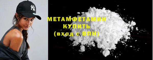 прущие грибы Богданович