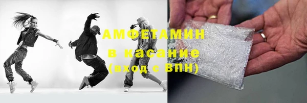 прущие грибы Богданович