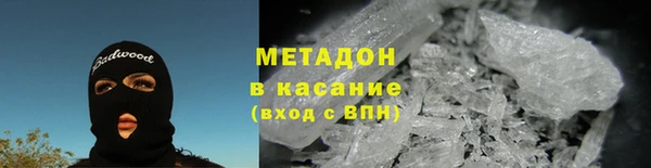 прущие грибы Богданович