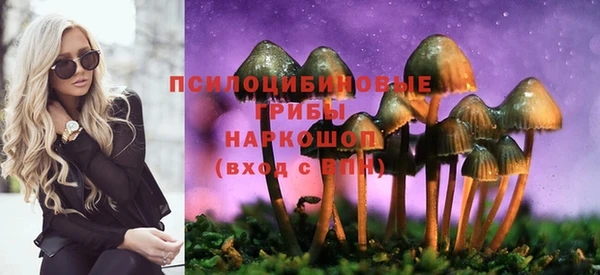 таблы Богородск