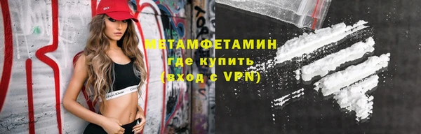 прущие грибы Богданович