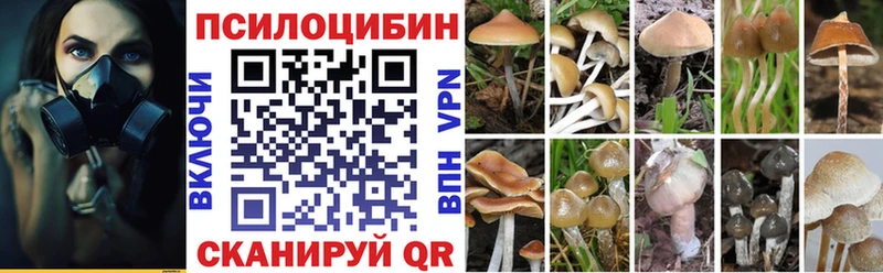 Псилоцибиновые грибы прущие грибы  Тольятти 